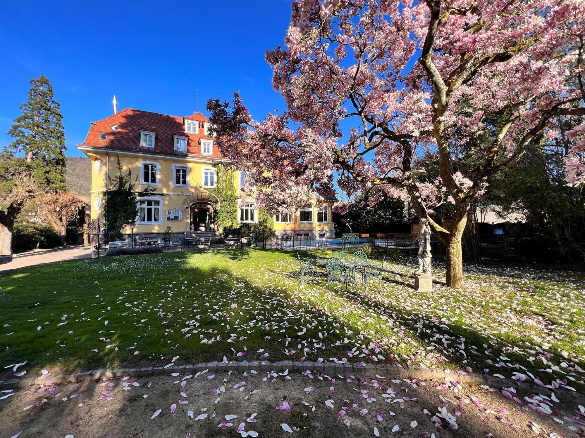 Hotel Restaurant Du Parc تان المظهر الخارجي الصورة